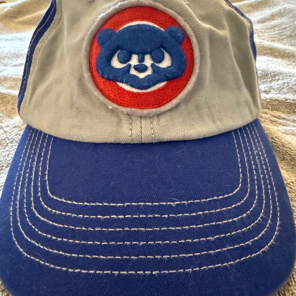 Blue and Gray Cap with Bear Logo